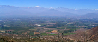 Acon valley near quillota paltita