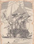 Ship natives tumbez ingleton