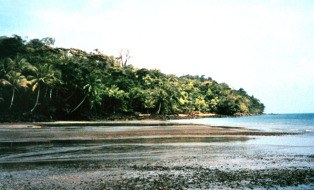 Isla gorgona